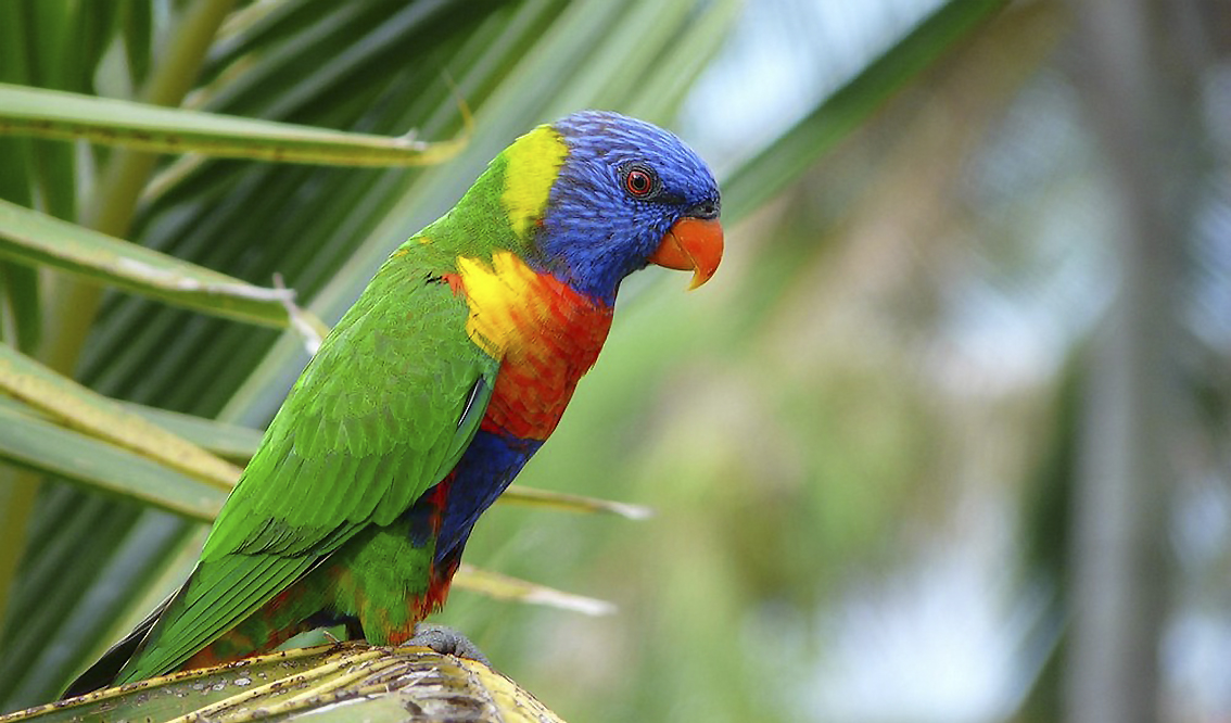 Les couleurs pour journée grise