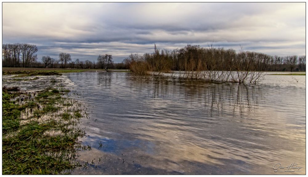 Les crues de L'ill Alsace