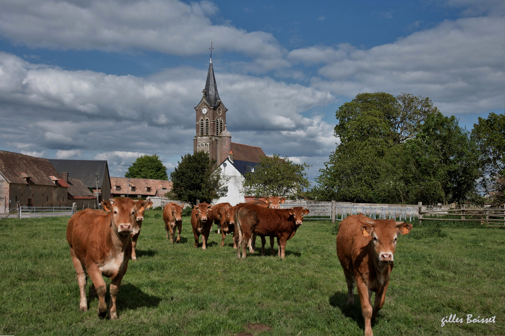 les curieuses