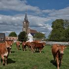 les curieuses