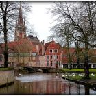 LES CYGNES DU BEGUINAGE .