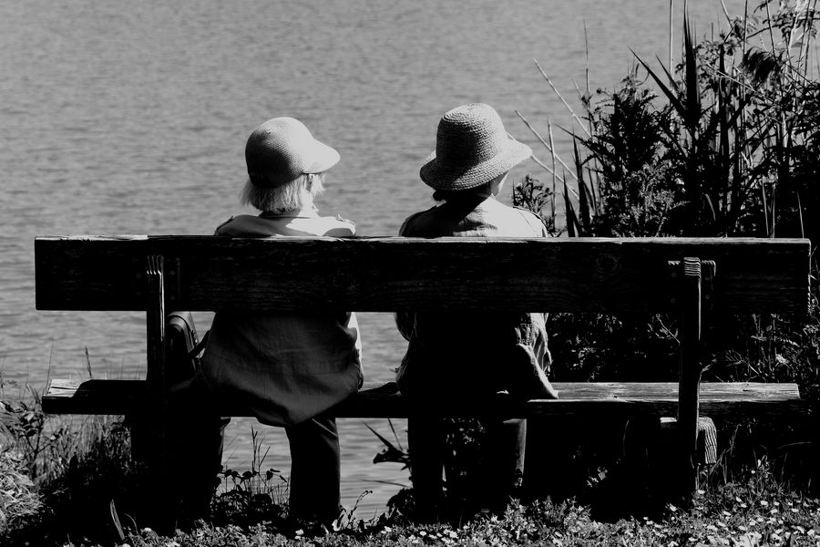 les dames sur le banc  