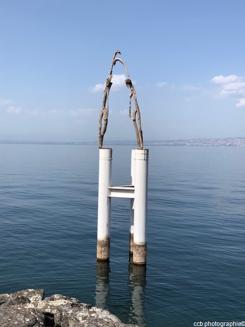 Les danseurs du Léman