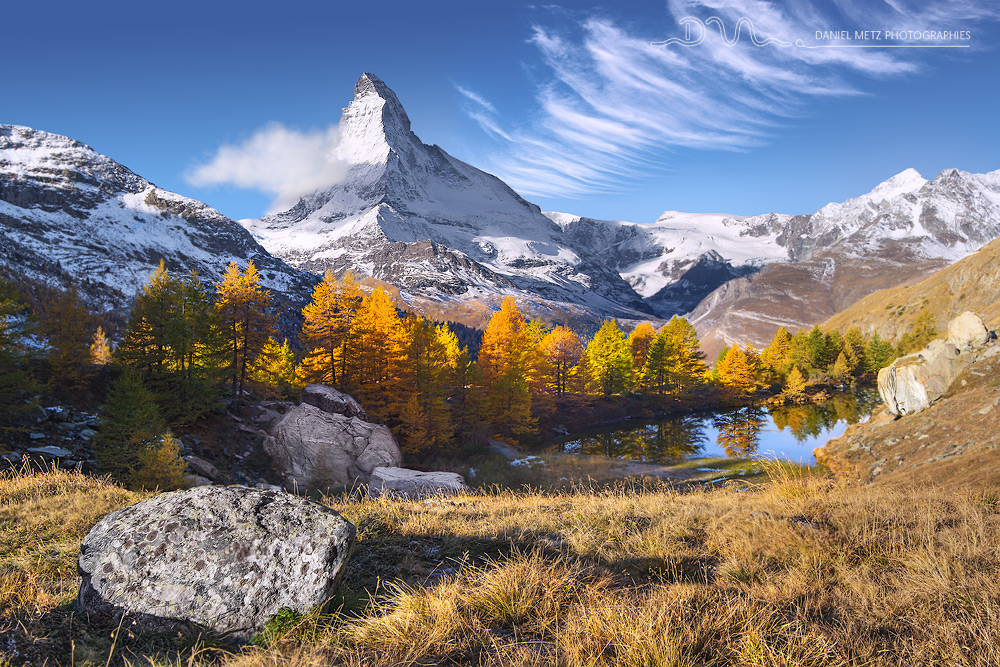 Les deniers jours de l'automne