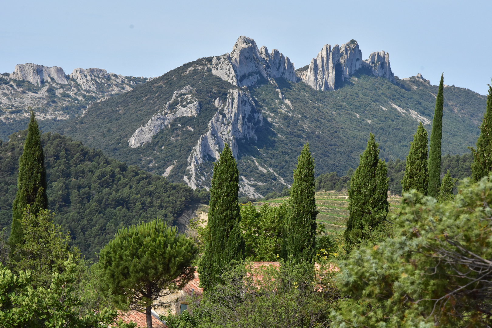 Les Dentelles de Montmirail