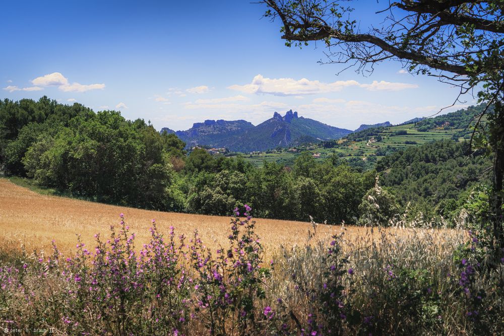 Les Dentelles de Montmirail