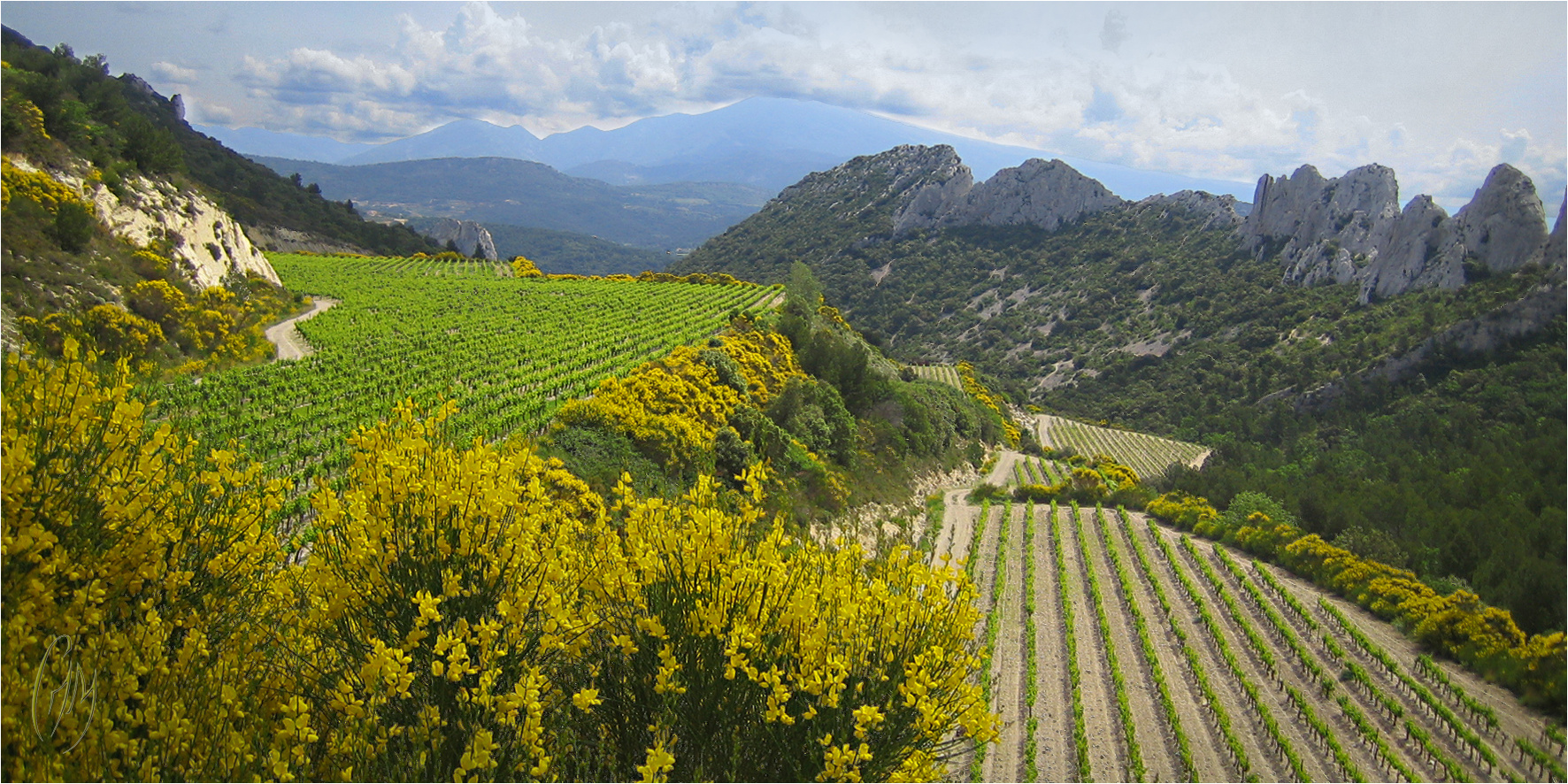 Les dentelles de Montmirail