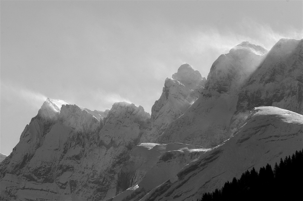 les dents blanches morzine