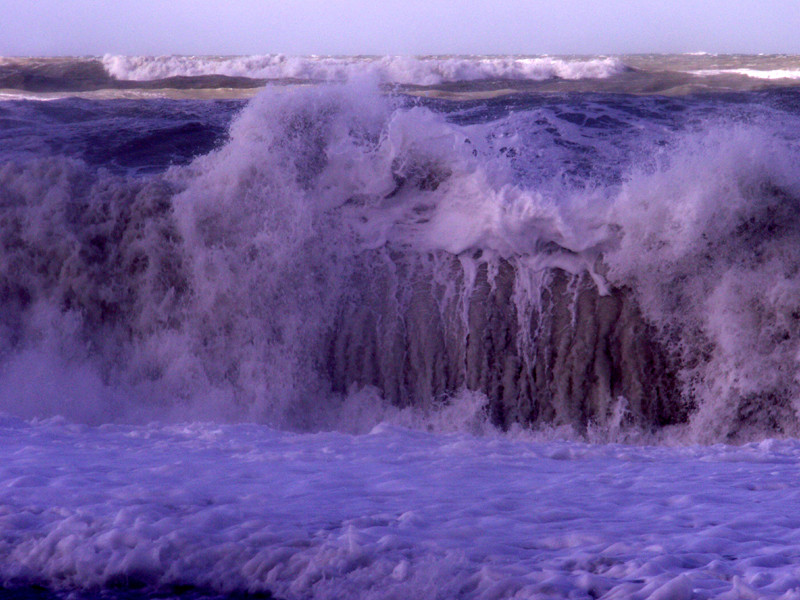 Les dents de la mer von feugere josiane 