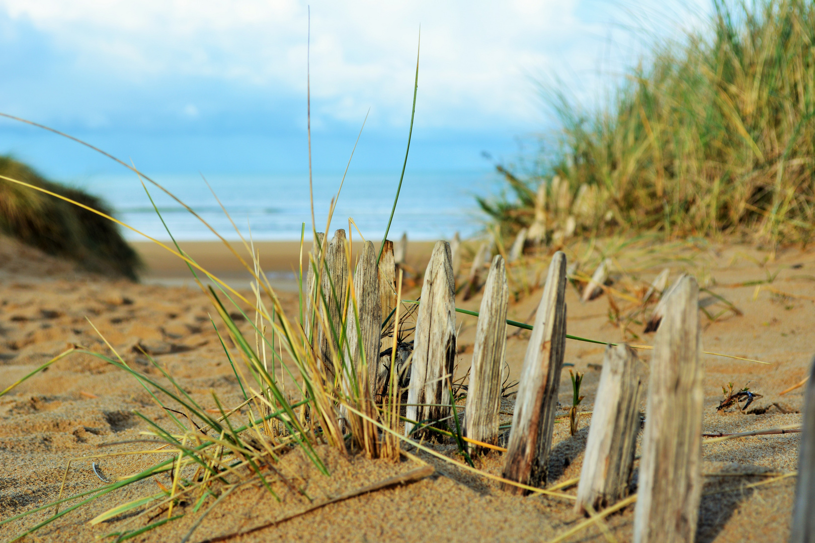 Les dents d'la mer