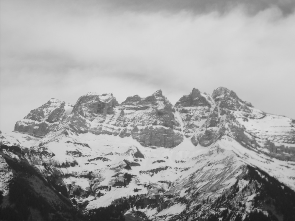 Les dents du midi b&w