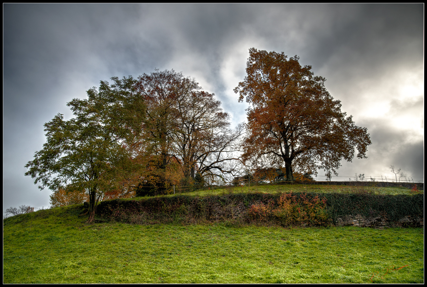 Les dernières couleurs d'automne