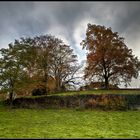 Les dernières couleurs d'automne