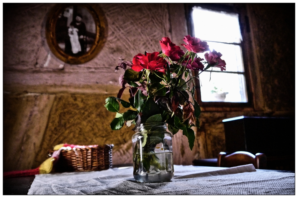 Les dernières roses du jardin