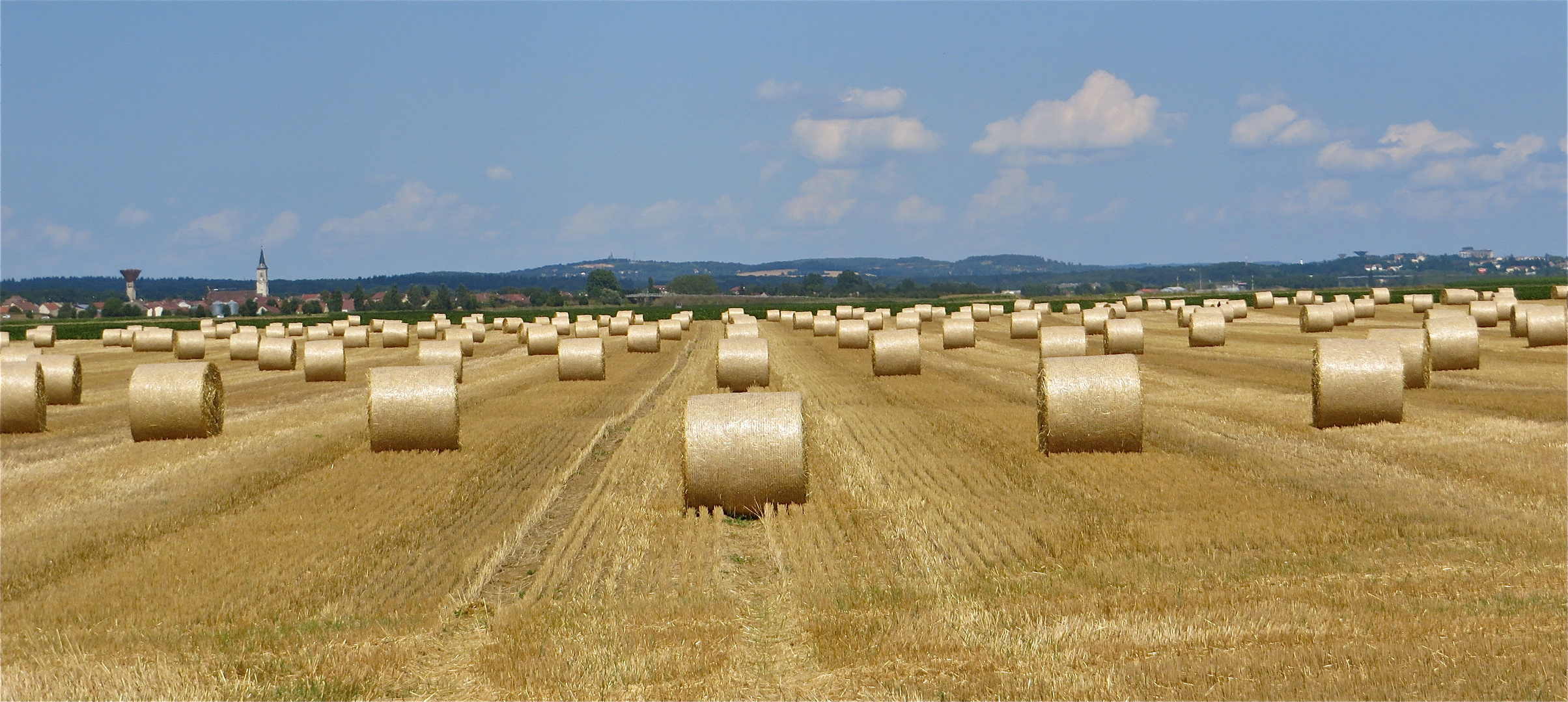 .... les dernieres rouleaux !!!..