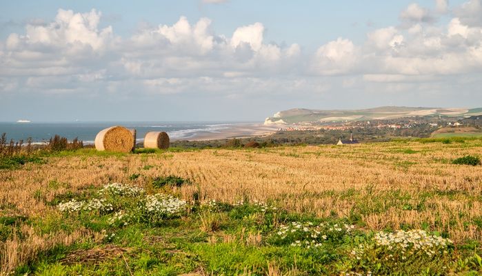Les derniers ballots