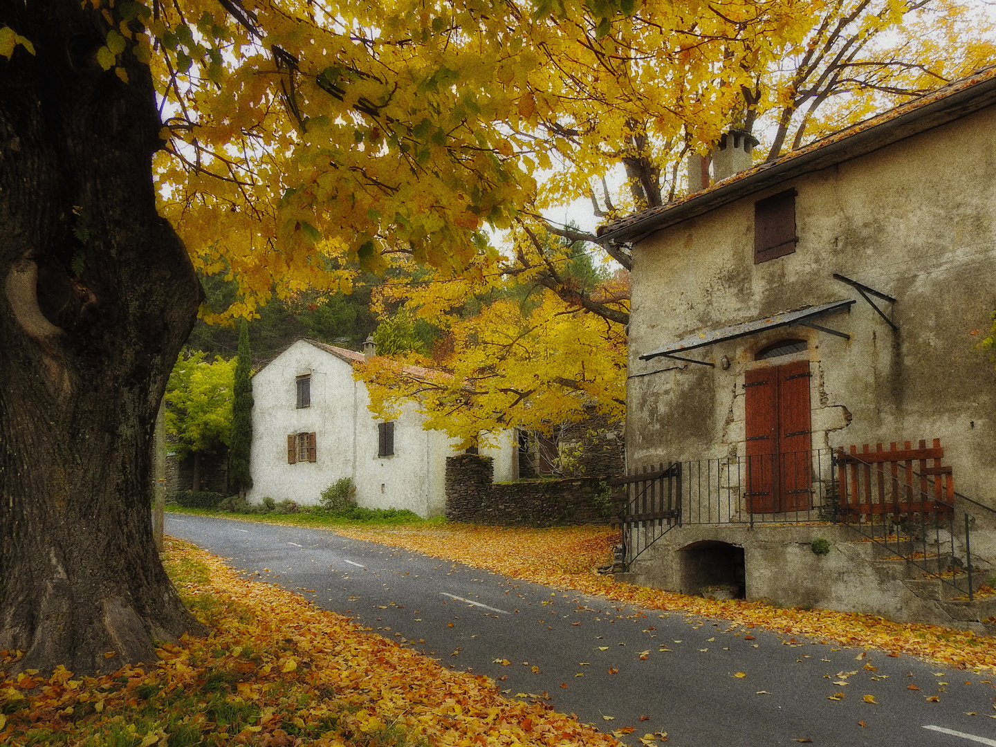 Les derniers feux d'automne /2