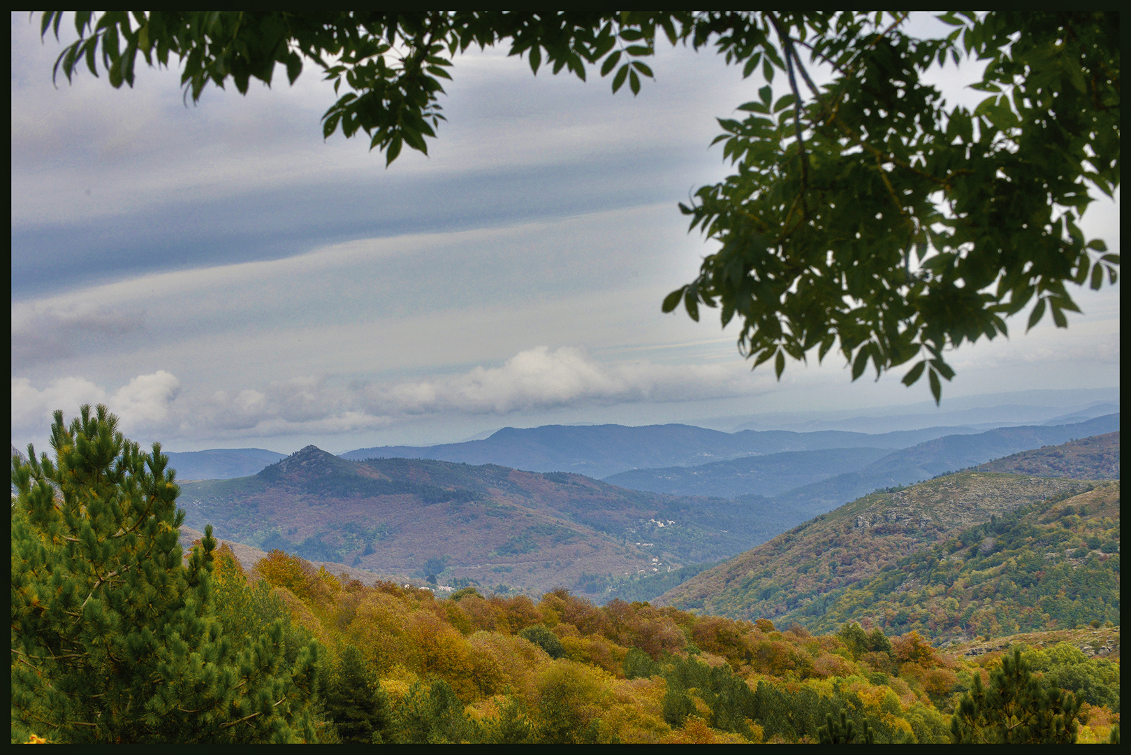 Les derniers feux d'automne. / 3