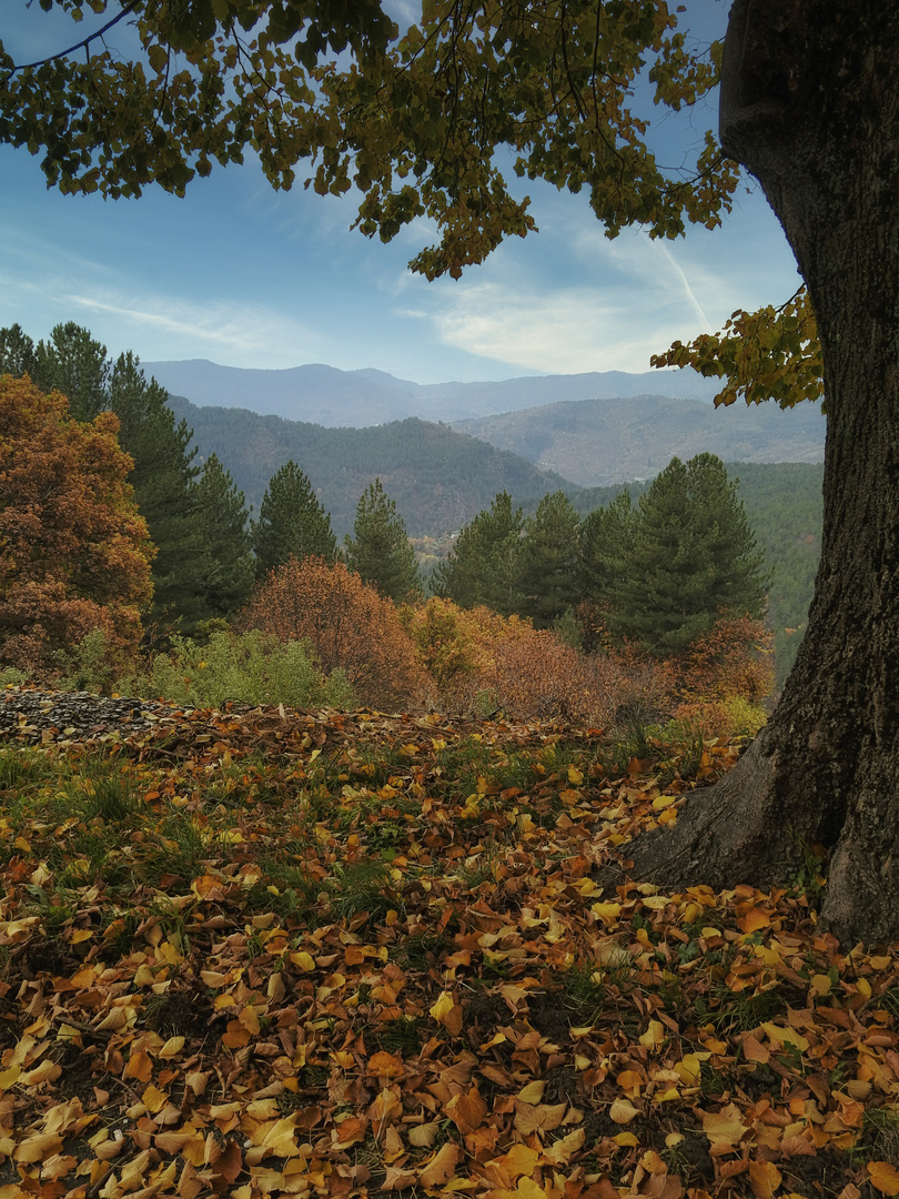 Les derniers feux d'automne / 3