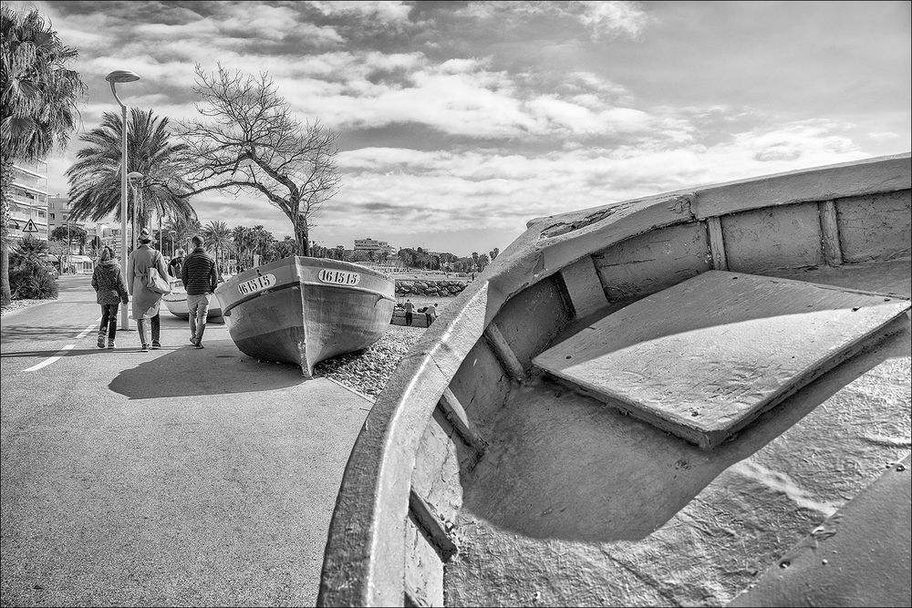 Les derniers promeneurs 