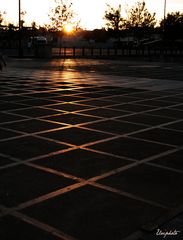 Les derniers rayons