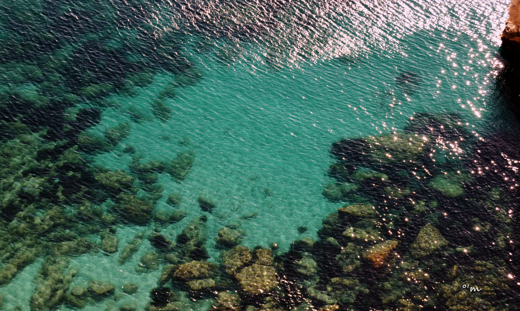 les dessous de la méditerranée