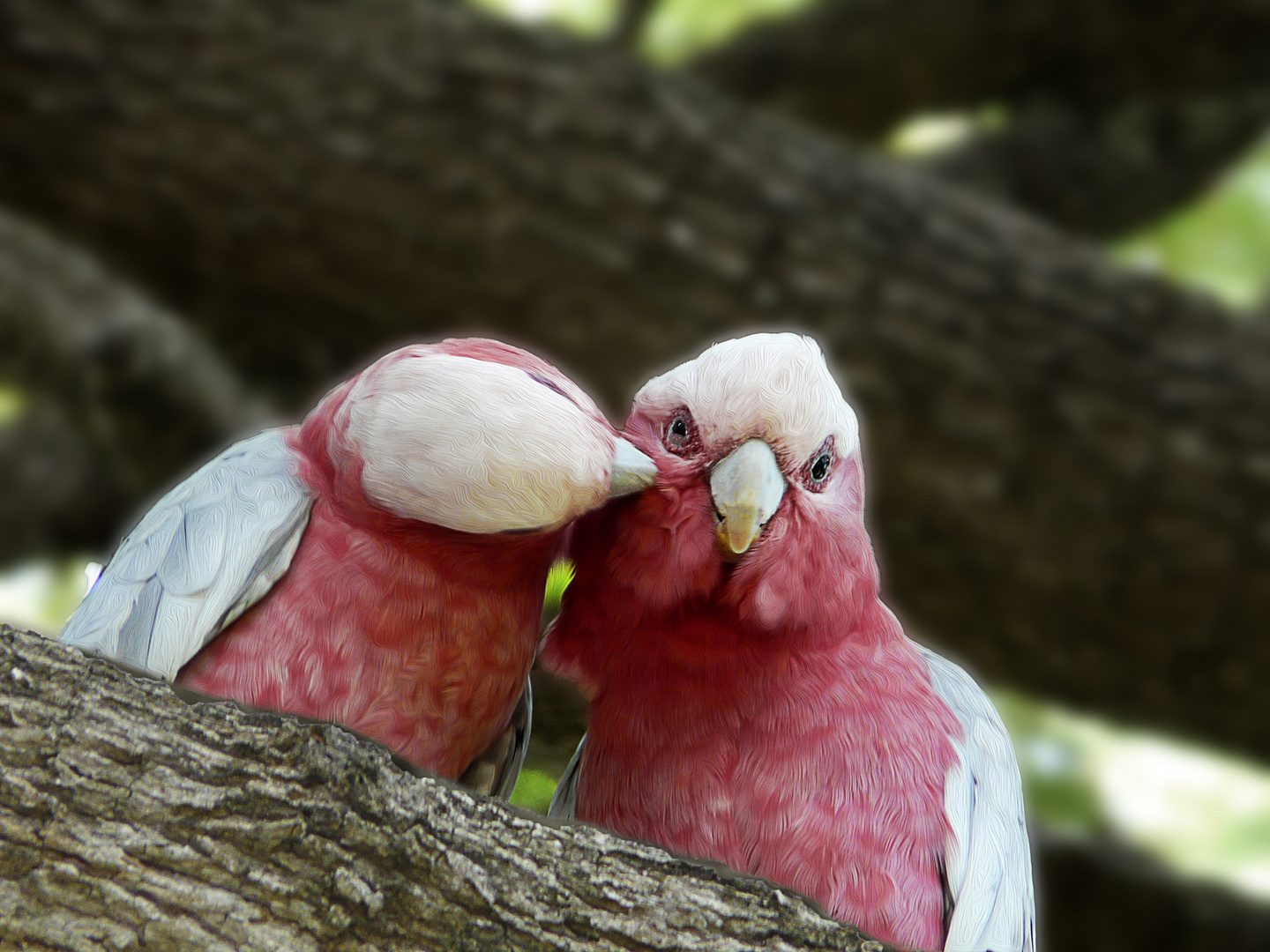 Les deux amoureux