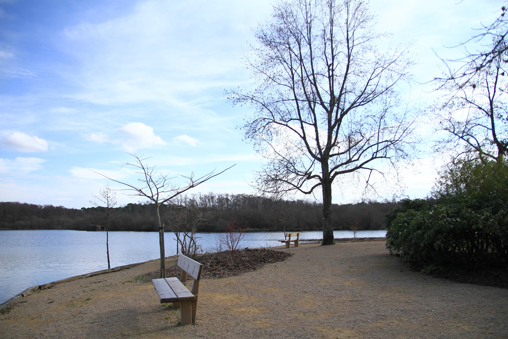 les deux bancs !