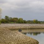 Les deux barques