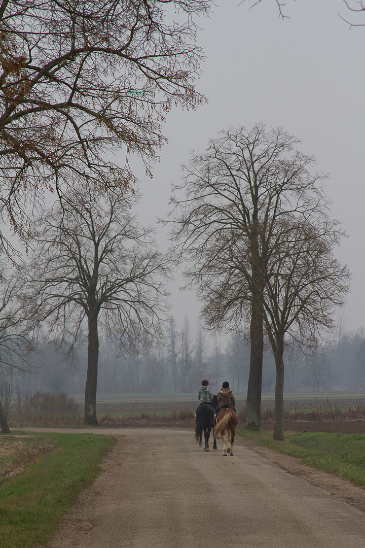 Les deux cavalières