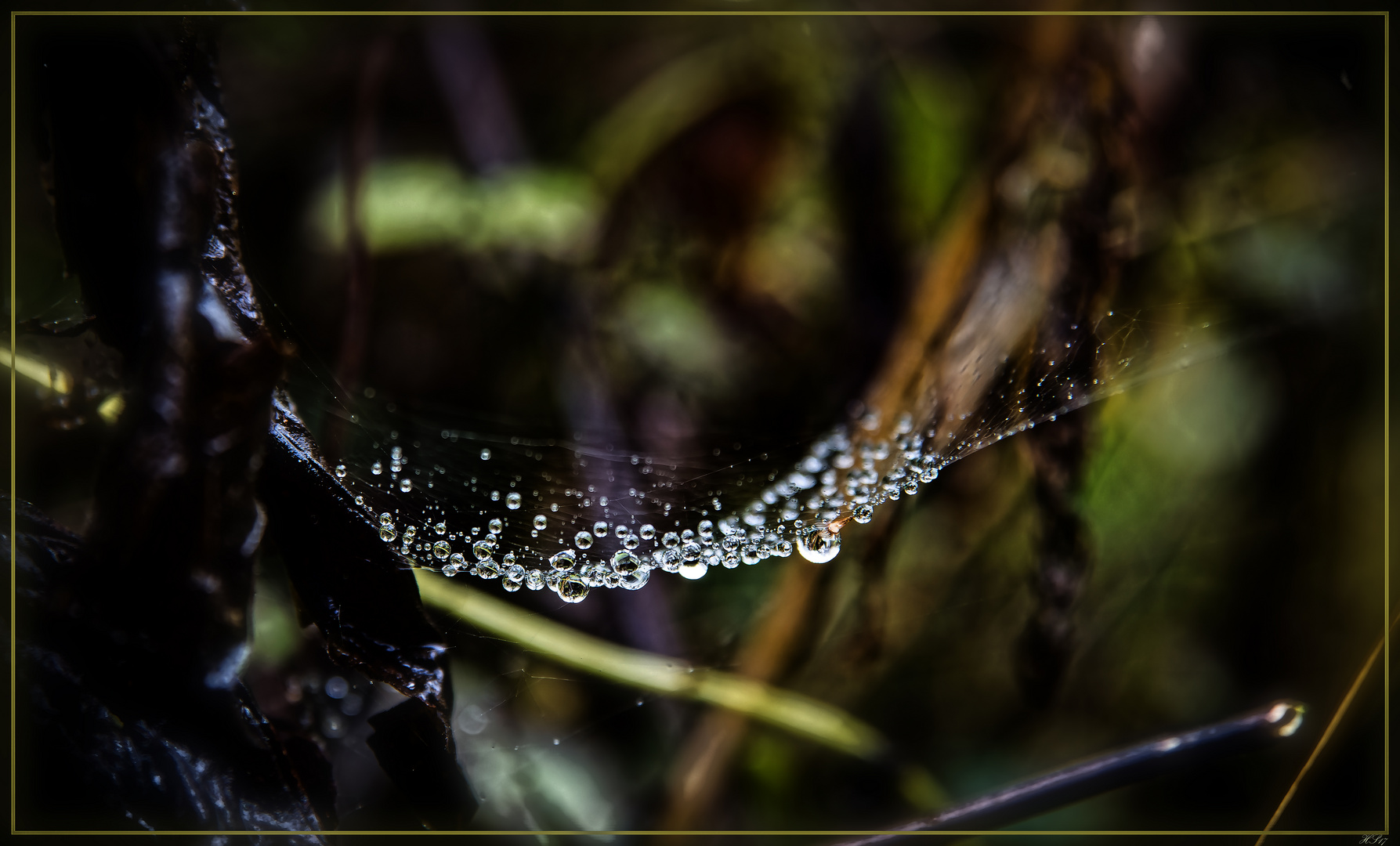 Les diamants d'automne