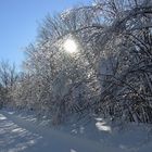 Les diamants de l'hiver