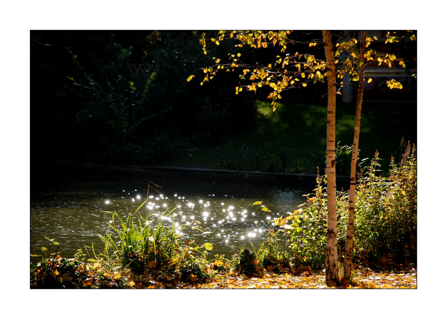 Les diamants de Strasbourg