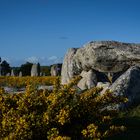 Les dolmens...