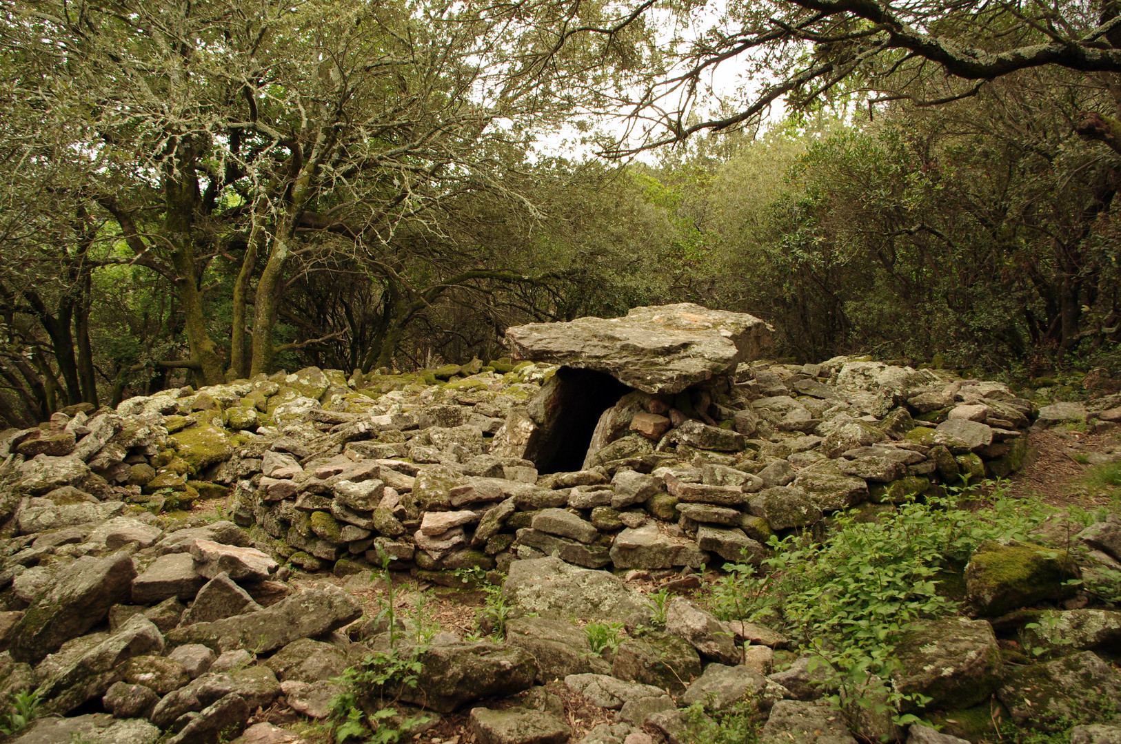 Les Dolmens de la Grande Pallière à Anduze, Gard