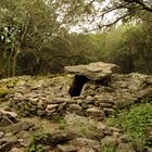 Les Dolmens de la Grande Pallière à Anduze, Gard