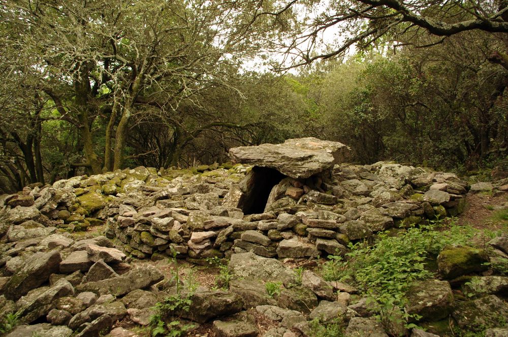 Les Dolmens de la Grande Pallière à Anduze, Gard