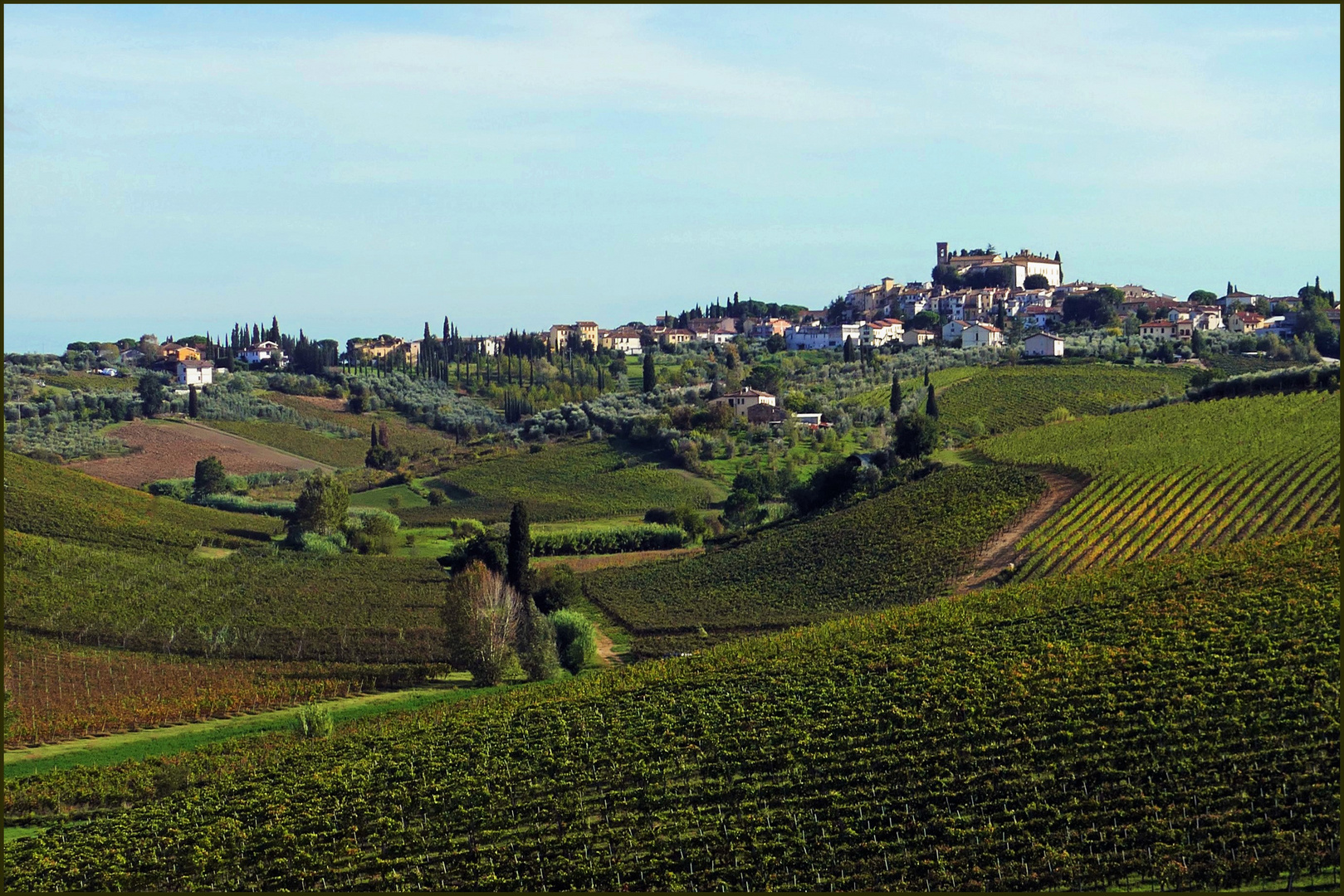 les douces collines des vignobles de toscane....