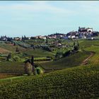 les douces collines des vignobles de toscane....