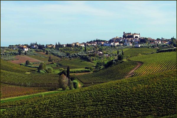 les douces collines des vignobles de toscane....
