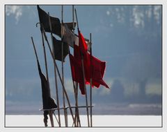 " Les drapeaux d'un caseyeur "