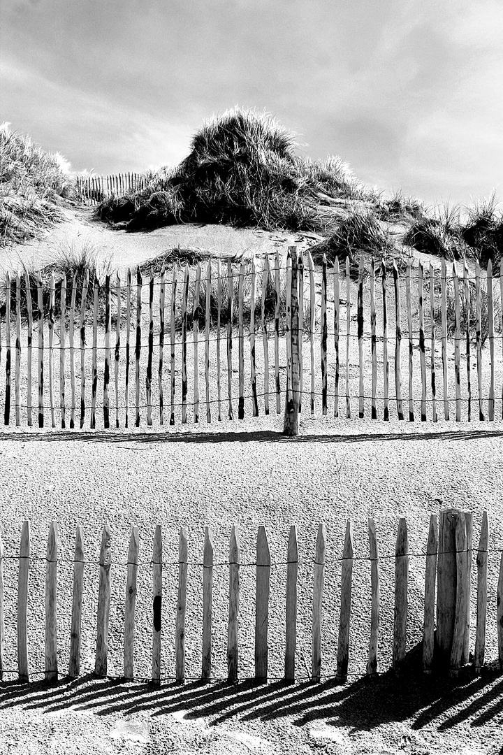 les dunes à Quend plage..