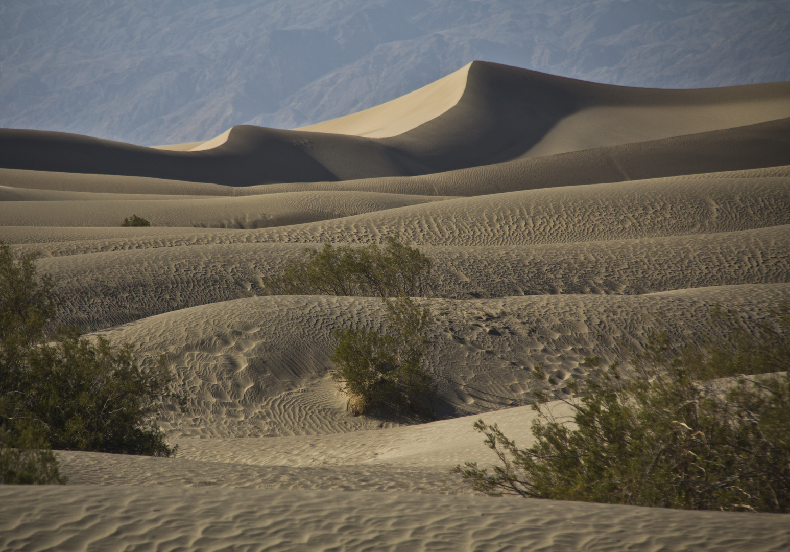 les dunes au coeur de la Death Valey