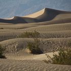 les dunes au coeur de la Death Valey