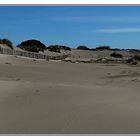 ... les dunes au Grau du Roi ...