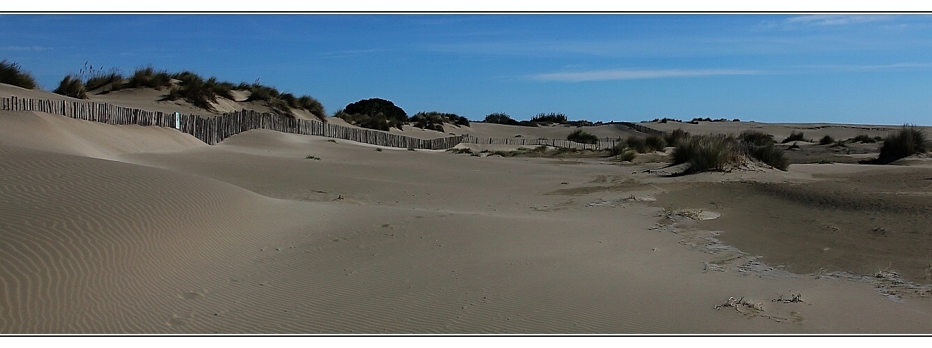 ... les dunes au Grau du Roi ...