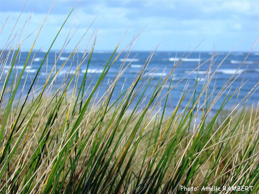 Les dunes de Keremma