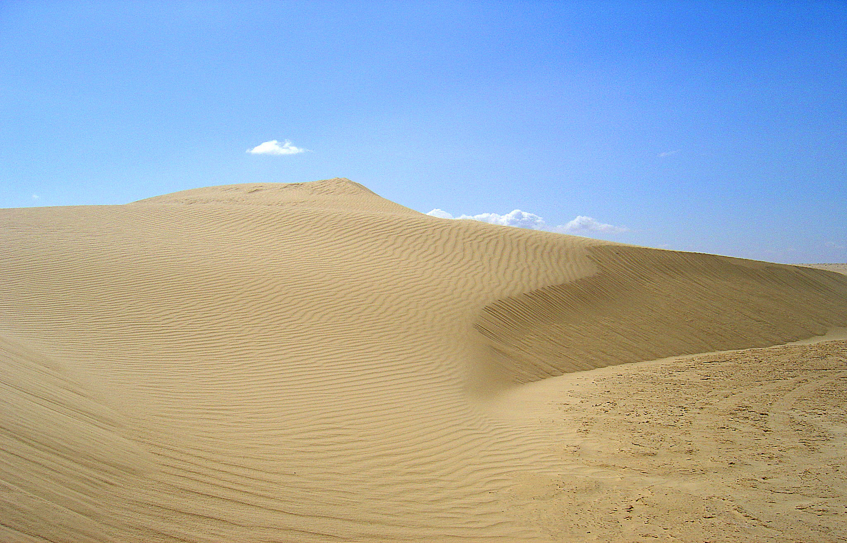 Les dunes de Lariguett