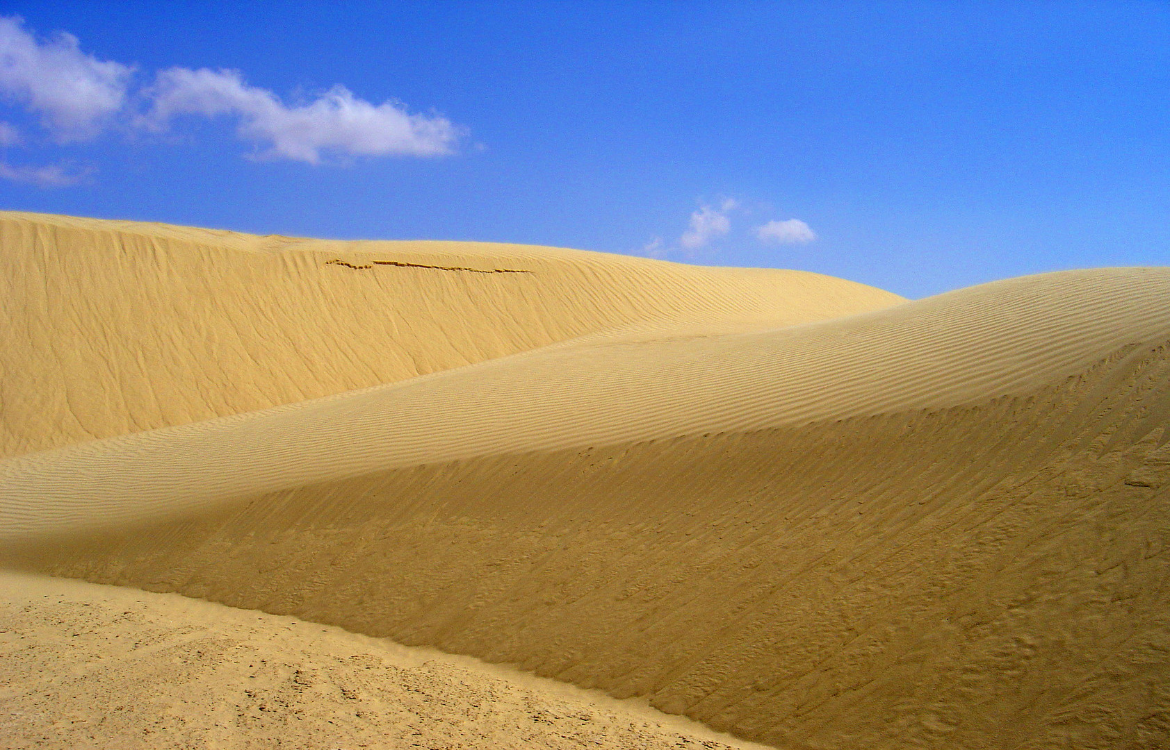 Les dunes de Larriguett près de Nefta