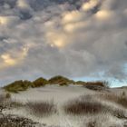 Les dunes de Merlimont